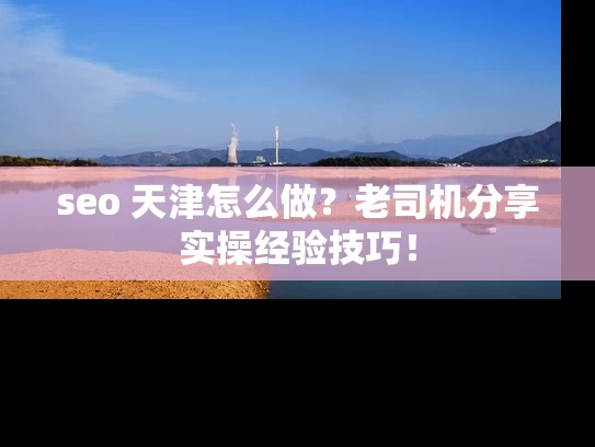 seo 天津怎么做？老司机分享实操经验技巧！