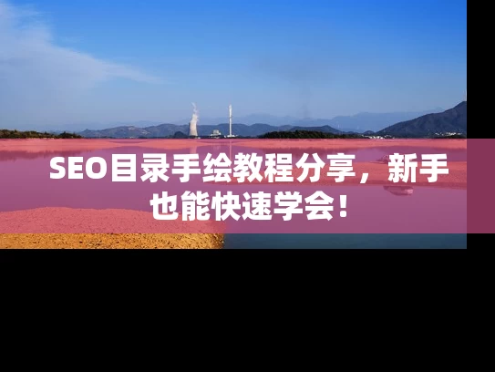 SEO目录手绘教程分享，新手也能快速学会！