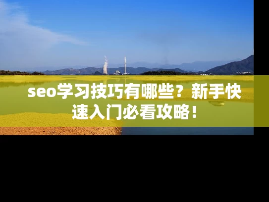 seo学习技巧有哪些？新手快速入门必看攻略！