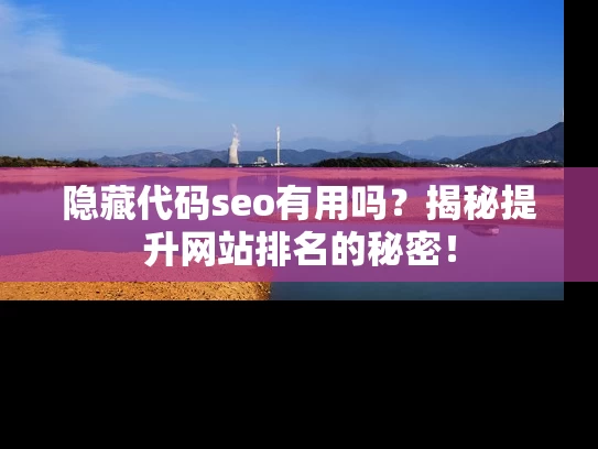 隐藏代码seo有用吗？揭秘提升网站排名的秘密！