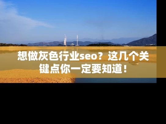想做灰色行业seo？这几个关键点你一定要知道！