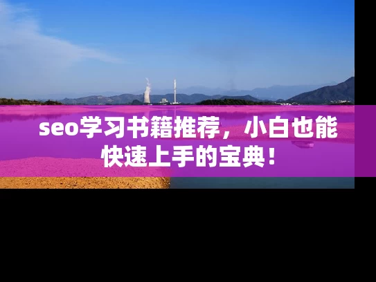 seo学习书籍推荐，小白也能快速上手的宝典！