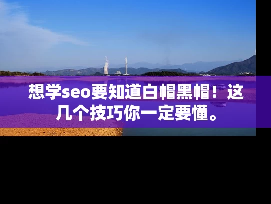 想学seo要知道白帽黑帽！这几个技巧你一定要懂。