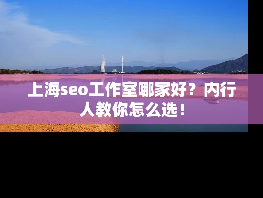 上海seo工作室哪家好？内行人教你怎么选！