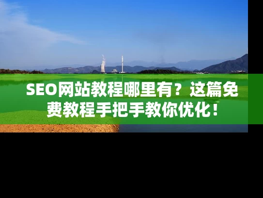 SEO网站教程哪里有？这篇免费教程手把手教你优化！