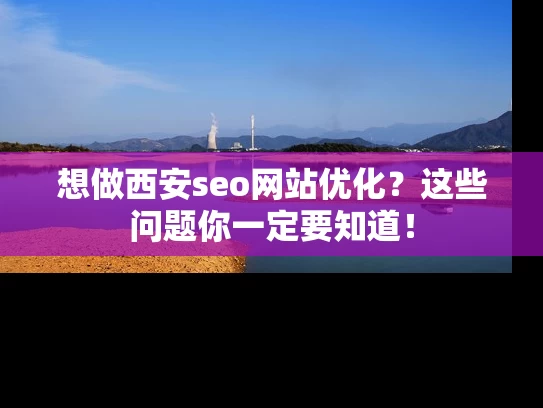 想做西安seo网站优化？这些问题你一定要知道！