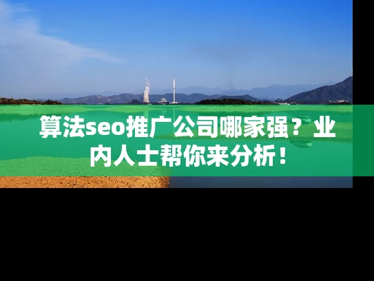 算法seo推广公司哪家强？业内人士帮你来分析！