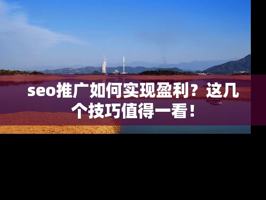 seo推广如何实现盈利？这几个技巧值得一看！