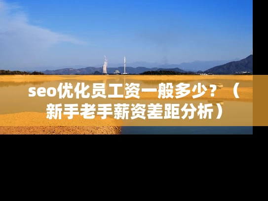 seo优化员工资一般多少？（新手老手薪资差距分析）