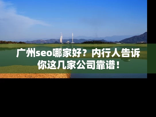 广州seo哪家好？内行人告诉你这几家公司靠谱！