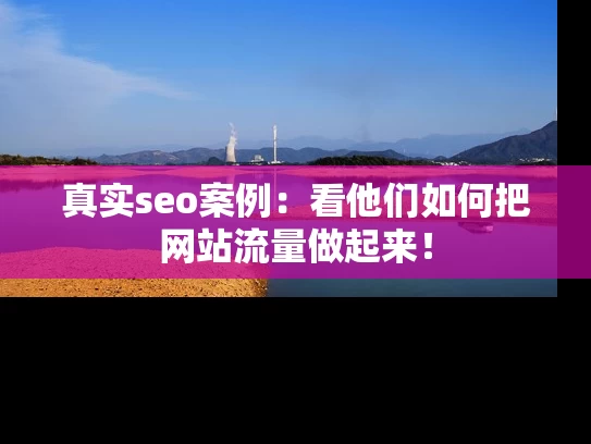 真实seo案例：看他们如何把网站流量做起来！