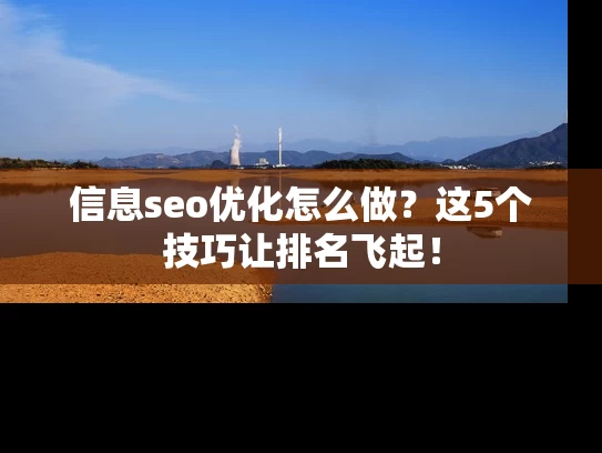 信息seo优化怎么做？这5个技巧让排名飞起！