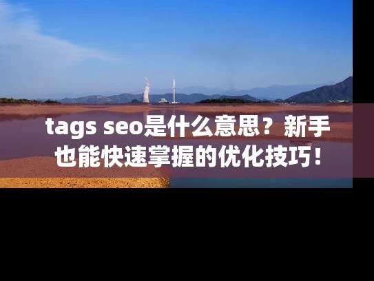 tags seo是什么意思？新手也能快速掌握的优化技巧！