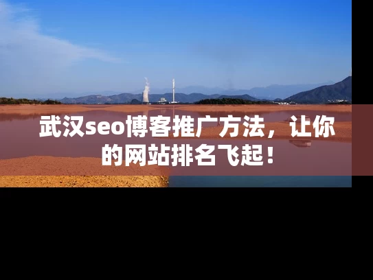 武汉seo博客推广方法，让你的网站排名飞起！