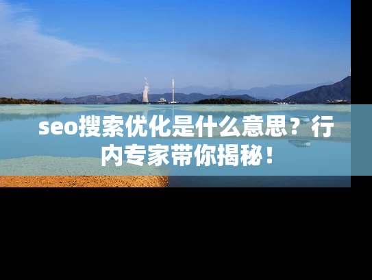 seo搜索优化是什么意思？行内专家带你揭秘！