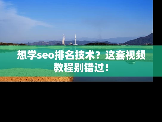 想学seo排名技术？这套视频教程别错过！