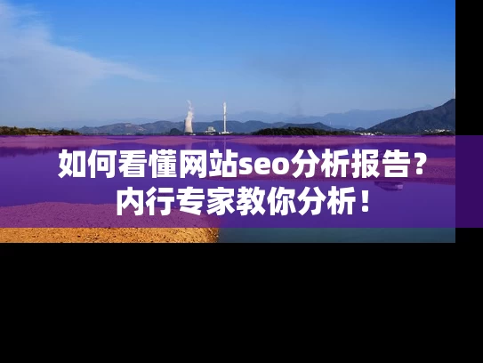 如何看懂网站seo分析报告？内行专家教你分析！