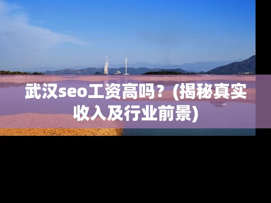 武汉seo工资高吗？(揭秘真实收入及行业前景)