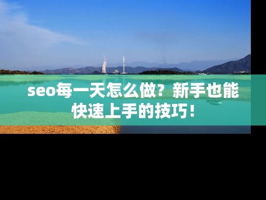 seo每一天怎么做？新手也能快速上手的技巧！