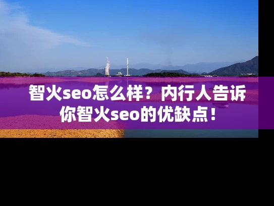 智火seo怎么样？内行人告诉你智火seo的优缺点！