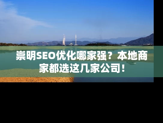 崇明SEO优化哪家强？本地商家都选这几家公司！