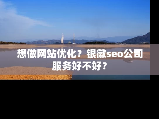 想做网站优化？银徽seo公司服务好不好？
