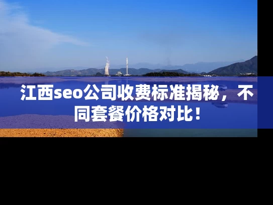 江西seo公司收费标准揭秘，不同套餐价格对比！