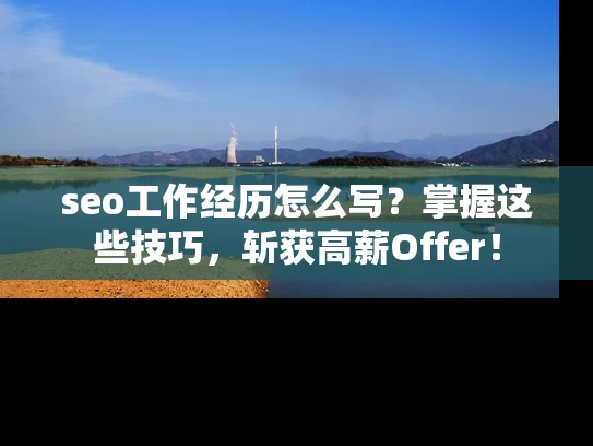 seo工作经历怎么写？掌握这些技巧，斩获高薪Offer！