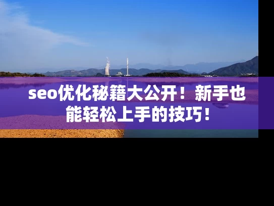 seo优化秘籍大公开！新手也能轻松上手的技巧！