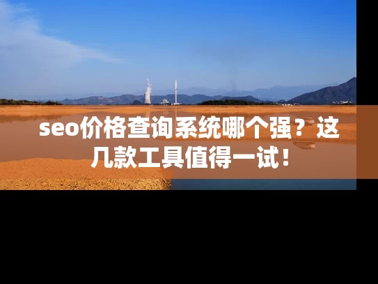 seo价格查询系统哪个强？这几款工具值得一试！