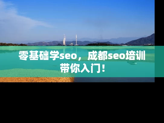 零基础学seo，成都seo培训带你入门！