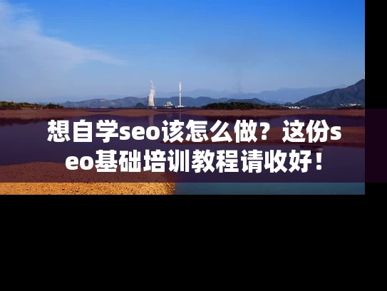 想自学seo该怎么做？这份seo基础培训教程请收好！