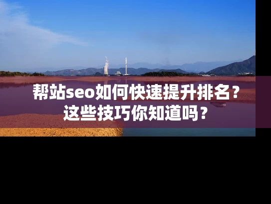 帮站seo如何快速提升排名？这些技巧你知道吗？