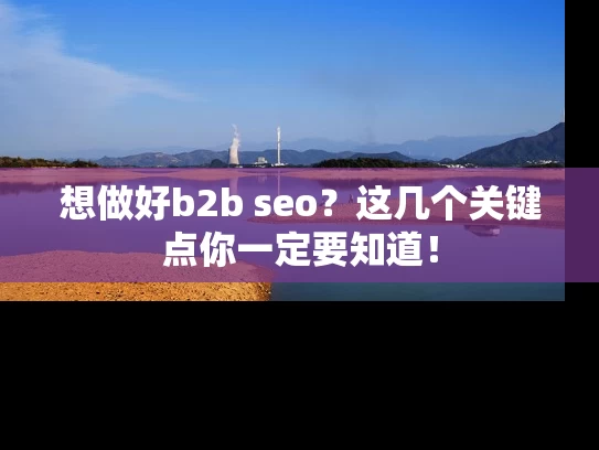 想做好b2b seo？这几个关键点你一定要知道！