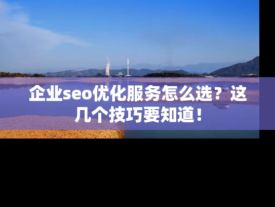 企业seo优化服务怎么选？这几个技巧要知道！