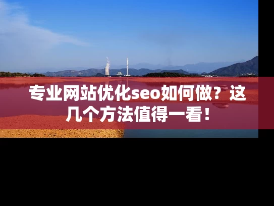 专业网站优化seo如何做？这几个方法值得一看！