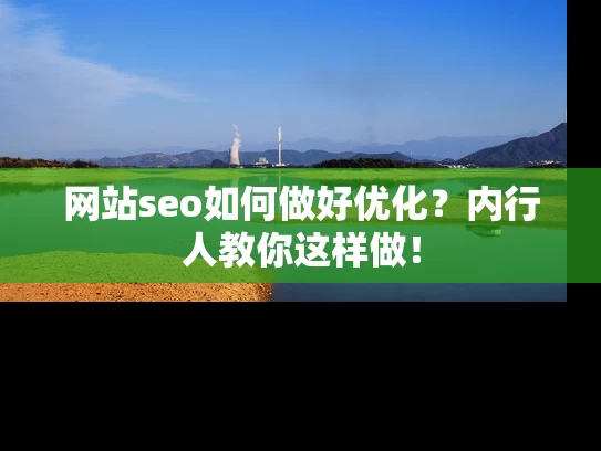 网站seo如何做好优化？内行人教你这样做！