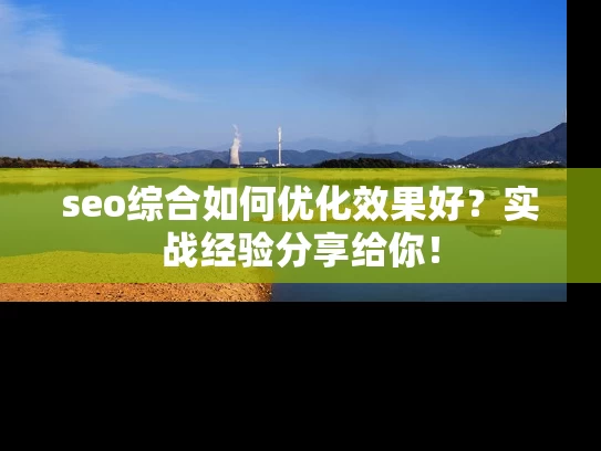 seo综合如何优化效果好？实战经验分享给你！