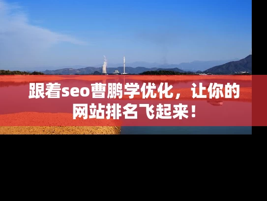 跟着seo曹鹏学优化，让你的网站排名飞起来！
