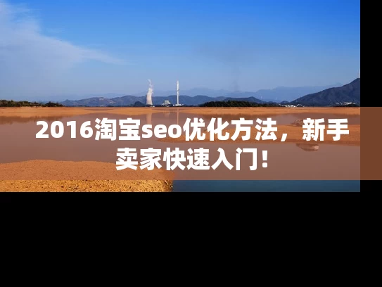 2016淘宝seo优化方法，新手卖家快速入门！