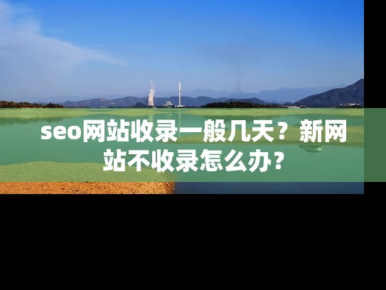 seo网站收录一般几天？新网站不收录怎么办？