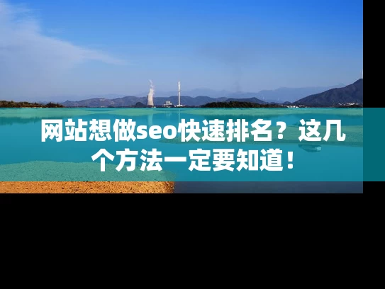 网站想做seo快速排名？这几个方法一定要知道！