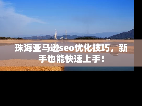 珠海亚马逊seo优化技巧，新手也能快速上手！