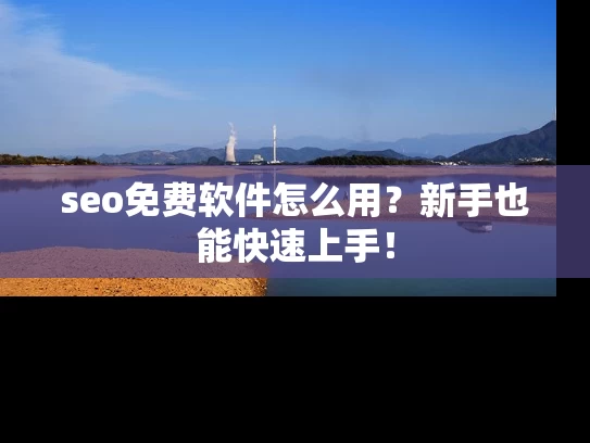 seo免费软件怎么用？新手也能快速上手！