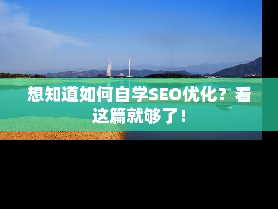 想知道如何自学SEO优化？看这篇就够了！