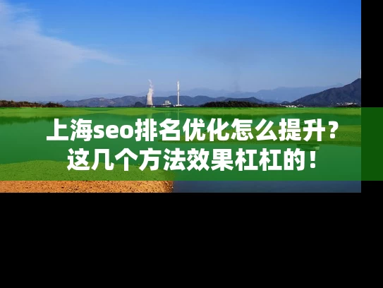 上海seo排名优化怎么提升？这几个方法效果杠杠的！