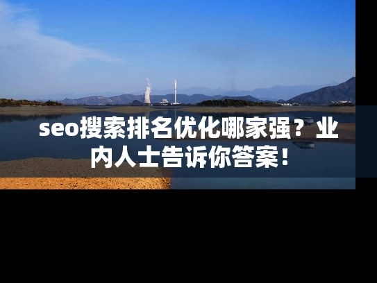 seo搜索排名优化哪家强？业内人士告诉你答案！