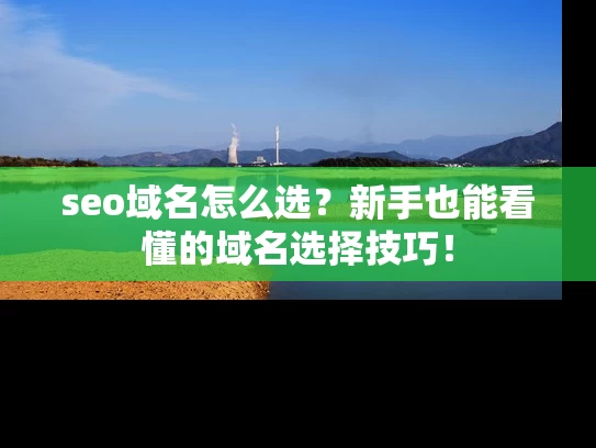 seo域名怎么选？新手也能看懂的域名选择技巧！