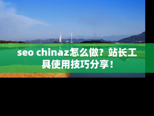 seo chinaz怎么做？站长工具使用技巧分享！