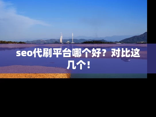 seo代刷平台哪个好？对比这几个！